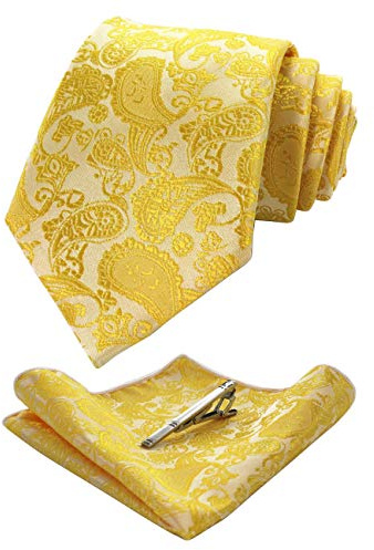 JEMYGINS Gelb krawatte Paisley Seide Herren Krawatten und Einstecktuch mit krawattenklammer Sets (5)