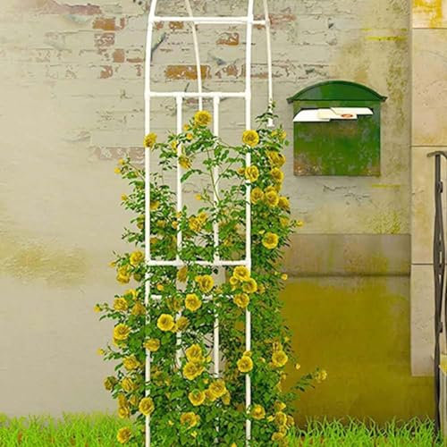 MISKYN Wetterfest Rosenbogen Halb Torbogen Hoch 240Cm, Gartenbogen Metall Rankgitter Rankhilfe Wandbogen, Breit 60Cm 90Cm 120Cm 150Cm 180Cm 220Cm Tiefe 40Cm,Weiß,120 * 240cm