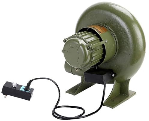 Soffiatore Elettrico A Velocità Variabile 220V - Soffiatore Per Barbecue Elettrico Con Governatore, Soffiatore Per Forgia A Carbone A Basso Rumore, Per Campeggio/Picnic/attività All'aperto(80W)