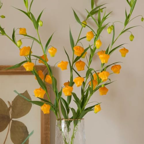 Sandersonia aurantiaca, stauden winterhart mehrjährig Laternenlilie, blumensamen zimmerpflanzen blumenwiese bonsai seltene 80Samen
