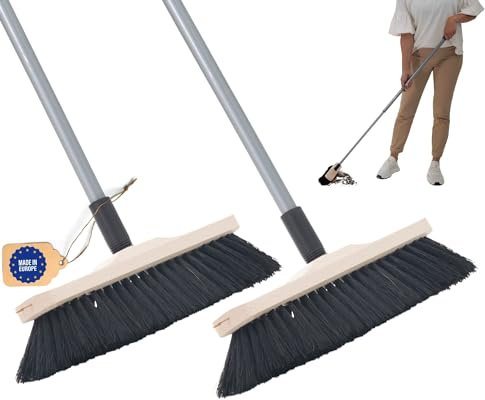 Novaliv 2 x scopa in crine di cavallo con manico fine pelo di animali, morbida scopa da camera con manico telescopico (2, scopa + mano)