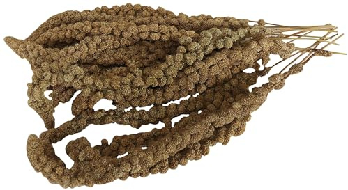 Aimé | Mijo en Rama Pajaros 250g | Mijo en Racimos y Semillas para Pajaros Domésticos 100% Natural | Golosinas para Pájaros Evita Aburrimiento y la Ansiedad | Producción Francesa | Comida Pajaros