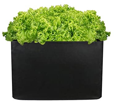 Panonw Lot de 2 sacs de culture de jardin, 88,9 x 88,9 x 40,6 cm, grands sacs de culture en feutre durable pour pommes de terre, carottes, oignons, fleurs