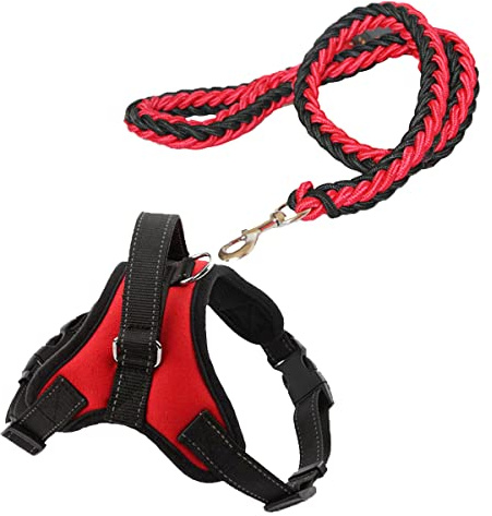 Breathable Dog Harness and Leash Set No Pull Soft Adjustable Dog Vest Harness with 130cm Dog Leash Small Puppy Harness for Outdoor Walking (Small)