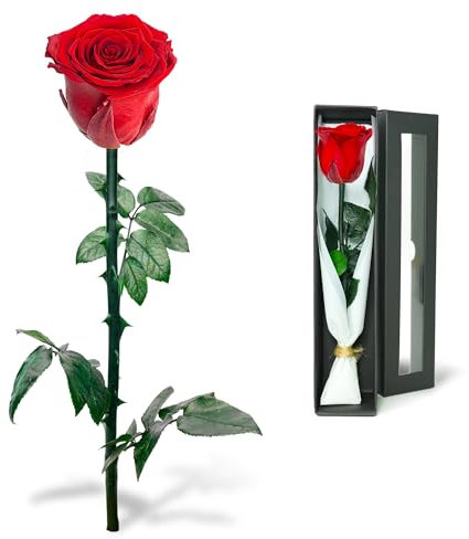 Naunauya Infinity Rose - Die ewige Rose, Unvergängliche Geschenke für Frauen, Konservierte Rose in Rosenbox, Haltbare Blume mit Ewigkeitsgarantie