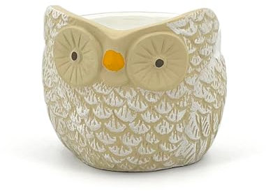 Vaso Terracotta Gufo Decorato a Mano | Diametro 12cm | Coprivaso per Piante Grasse e Fiori | Vaso per orchidee | Decorazione Casa Interni ed Esterni