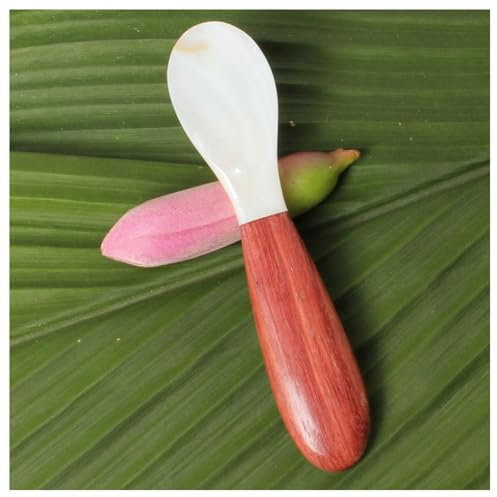 Hrlace Cucharas de caviar de nácar de 12 cm, con mango de madera, cucharas de nácar, cucharas de caviar, hechas a mano, puntas redondas, nácar, caviar, huevos, café, servir 10 unidades