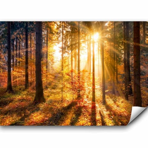 murando - Fototapete Premium-Vlies Wald, 350x256 cm, Schlafzimmer, Full HD | Premium-Vliesstoff, Full HD Druck, hochwertige Verarbeitung fürs Wohnzimmer, schnelle Montage, lichtbeständig, geruchsfrei