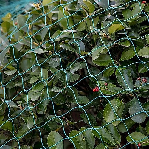 PanHuiWen Filet Oiseaux Filet Anti Oiseaux Filets de Jardin Réutilisables Anti-Oiseaux Filet pour Arbres Fruitiers,5x10m