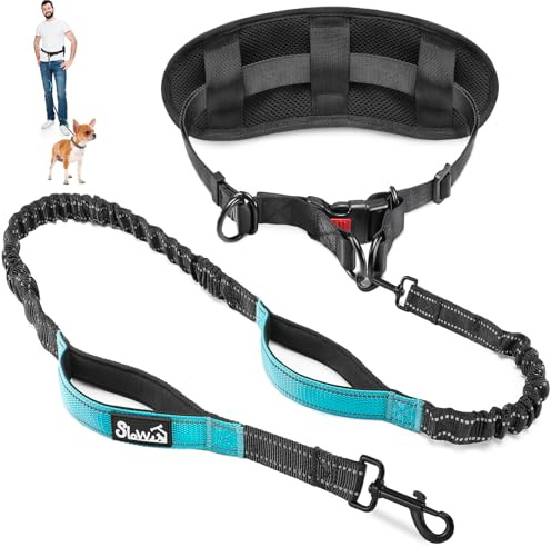 Eyein Hands Free Dog Lead - Anti Pull Dog Running Lead with Removable Pouch, Reflective Bungee Pet Leash with Dual Handle, Adjustable Waist Pet Training Leash for Medium and Large Breed (M,for 1 Dog)