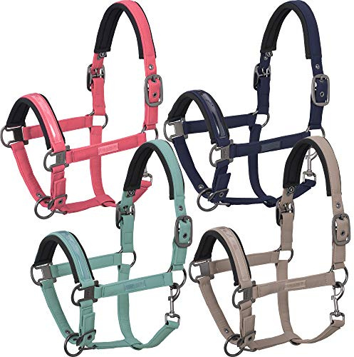 Eskadron Hafter Doublepin Softshell - Navy, Rouge, balsamgreen, tendertaupe, Größe:Warmblut, Farbe:tendertaupe