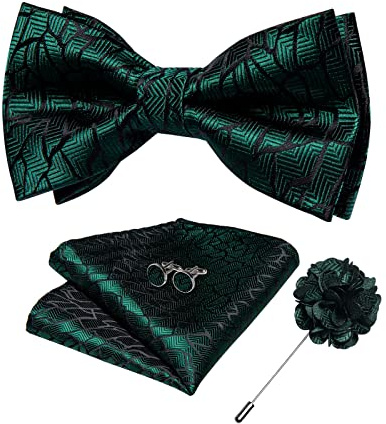 DiBanGu Silk Paisley Bow Tie for Men with Pocket Square Lapel Pin Cufflinks Pre-tied Bowtie Set for Wedding Party Prom