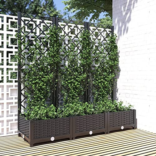 Camerina Jardinera con Enrejado PP Jardineras Exterior Grandes Negro Separadores Jardin 120x40x121,5cm