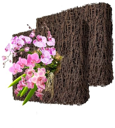 DUSPRO 2Pcs Tree Fern Fiber Board for Orchids, Aroids and Other Climbing Plants, 7.9 inches Staghorn Fern Mount | Staghorn Fern Mount for Climbing Plants, Natural Mounting Board for Mounted Plants, Airflow & Vertical Plant Display