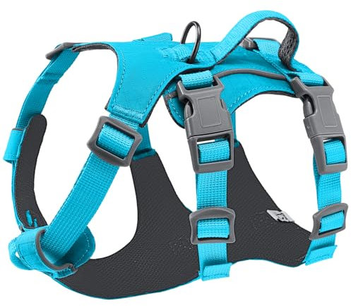 Eyein Hundegeschirr für große mittelgroße Hunde, Leichtes und Atmungsaktiv No Pull Brustgeschirr mit Griff, reflektierend Nylon Geschirr mit Frontclip für Wandern und täglichen Gebrauch, Blau, L/XL