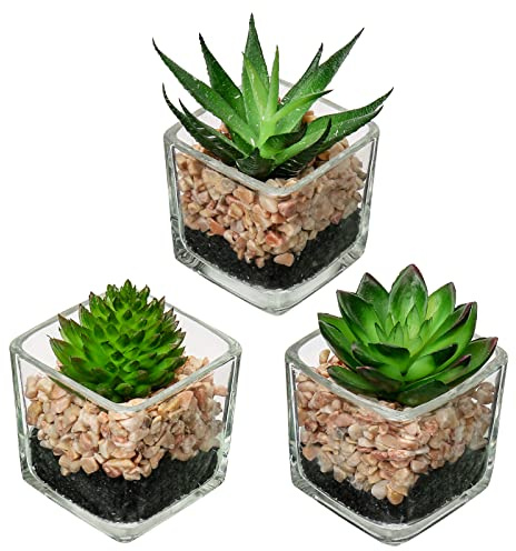 Briful Set of 3 Succulents Plants Artificial in Glass Pots Small Fake Succulents Plants Faux Plants Indoor for Home Office Table Desk Shelf Room Decor