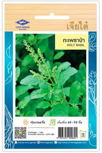 Basilic Thai Sacré – Holy Basil - Sachet de 2400 Graines, Basilic Thaïlandais CHIA TAI