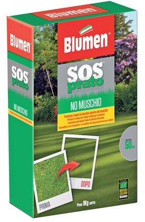 BLUMEN SEME SOS PRATO NO MUSCHIO TAPPETO ERBOSO RESISTENTE 1 KG