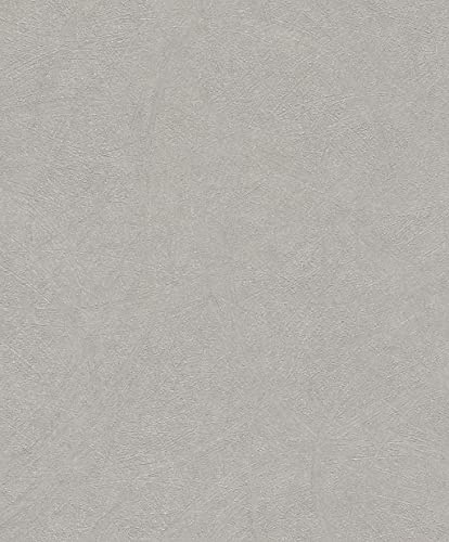 Rasch Tapeten 520255 - Vliestapete in Silber mit 3D Struktur und Used-Look aus der Kollektion Concrete - 10,05m x 0,53m (LxB)