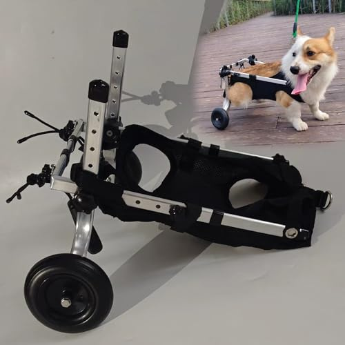 UrbanUp Hunderollstuhl Leichter, Verstellbarer Haustierwagen, Gehhilfe für Kleine und Mittelgroße Hunde für Corgis, Französische Bulldoggen, Rollstuhl für Behinderte/Verletzte Katzen(Size XS)