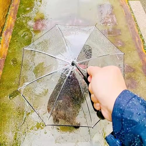 Hunde Regenschirm Faltbarer Hundeschirm für Welpen, Regenfester und Schneefester Hundeschirm mit Einem Durchmesser von 70 cm, Durchsichtiger Kleiner Hunde-/ Katzenschirm für Spaziergänge im Freien