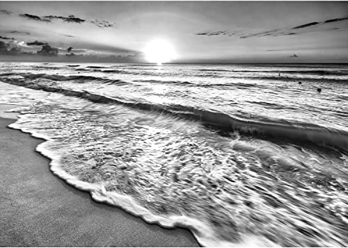 Runa Art Papier Peint panoramique Plage coucher du soleil de la mer 352 x 250 cm Toison Mur XXL Moderne Décoration Murale Salon Chambre á Coucherr Bureau Salle Noir et blanc 9467011c