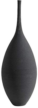 Fenteer Decorative Small Nordic Simple Flower Branches Vase for Tabletop Decor, Floral Theme Living Room Decoration, Black A
