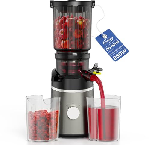 TPGSING extractor de zumos y verduras, 250 Watt licuadora prensado en frio, Motor DC Silencioso, Prensado en Frío 130mm de Diámetro, Fácil de Limpiar slow juicer machine Lento con 2 Vasos