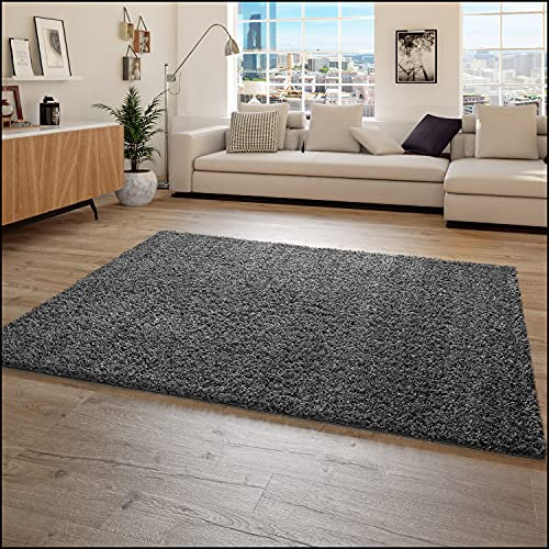 Paco Home Hochflor Teppich Wohnzimmer Shaggy Langflor Modern Einfarbig Ohne Muster, Grösse:120x170 cm, Farbe:Anthrazit