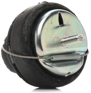 RIDEX 247E0513 Motorlager Vorne Hydrolager Kompatibel mit VOLVO V70 I 875, 876 6801722