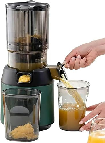 FKINGLRK 300W Juicer Machines, Professional Slow Juicer, Cold Press Masticating Juicer, with 13cm Feeding Chute for Fruits Vegetables Green - Fruit Juicer