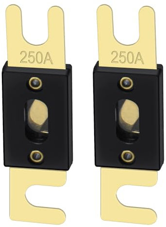 Heschen - Juego de fusibles ANL-250, de 250 amperios, para sistema de audio de coches y vehículos, negro con placa dorada, 2 unidades