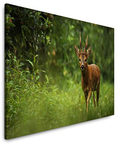 Paul Sinus Art Wald Atmosphäre 100 x 70 cm Inspirierende Fotokunst in Museums-Qualität für Ihr Zuhause als Wandbild auf Leinwand in