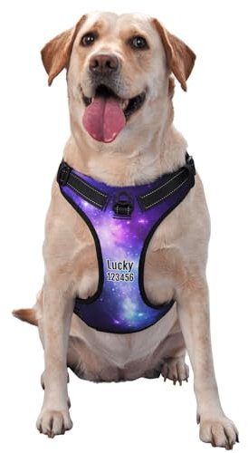 Personalisiertes Anti Zug Hundegeschirr mit Name, Personalisiertes Hundegeschirr mit Name und Telefonnummer für Kleine, Mittelgroße und Große Hunde