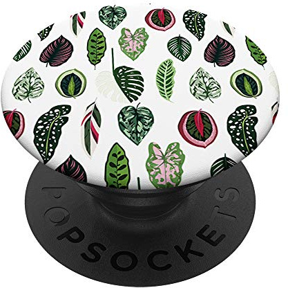 Tropic Plant Leaves Calathea Varigatea Monstera blanc PopSockets PopGrip - Support et Grip pour Smartphone/Tablette avec un Top Interchangeable