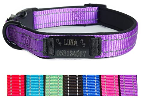 Hundehalsband Halsband Name Gravur personalisiert Haustier Hund Katze Nylon besonders stabil (M, Lila)
