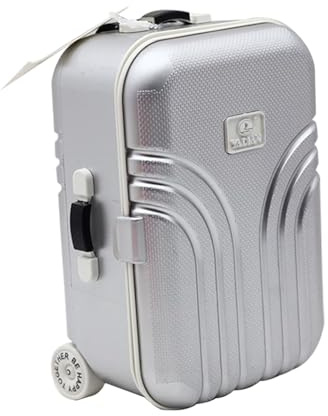 Tongyixin Mini Klein trolleys Spardose，Niedlicher Trolley-Gepäckorganisator，Simulation Reisekoffe Sparschwein，Wanderkoffer zum Geldsparen，Lustige Geschenke zum Geburtstag（Silber）