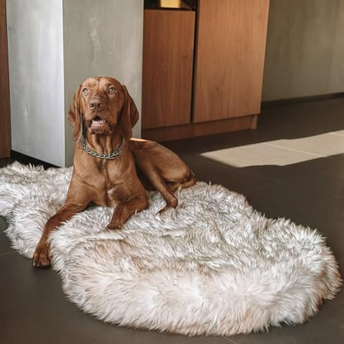Luxus Kunstfell Orthopädisches Hundebett, Memory Foam Hundebett für kleine, mittlere, große und XL Haustiere, Flauschiger Welpenteppich mit wasserdichtem und waschbarem Softbezug, Knochenweiß
