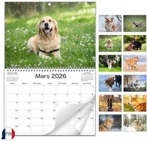AEYAKA Calendrier Mural Chiens 2026 – Photos de Chiens Adorables, Format A3 Ouvert, Organiseur Familial et de Bureau,Idéal pour les Amoureux Français