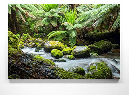 BilderKing Wald Leinwand, Motiv – Waldbach - als 90x60cm großes Leinwandbild. Ein wunderschönes Wandbild als Hintergrund und Deko für Wohnzimmer & Schlafzimmer. Aufgespannt auf Holzrahmen