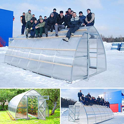 Invernadero de policarbonato túnel 3 x 6 m reforzado, invernaderos, garajes, huertos, plantas, invernaderos, caseta premium de 6 x 3 m