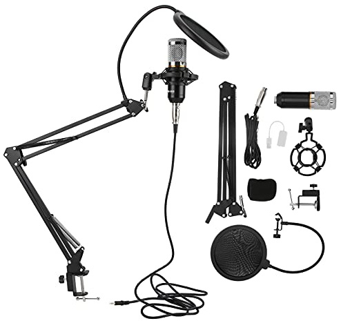 HERCHR Microfono USB a Condensatore da Studio Computer Kit Microfono Per PC Strumenti Voice Over Registrazione Podcasting Gaming Streaming Microfono a Condensatore(nero+argento)