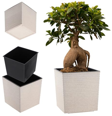 Maceta KADAX de plástico, maceta de jardín resistente a la intemperie para balcón, terraza, interior, maceta ligera con inserto, macetero para plantas y flores (Blanco, Altura: 19,5 cm)