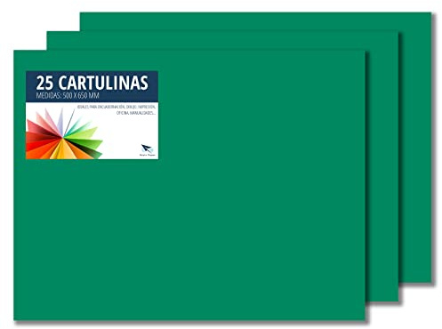 RAYLU PAPER – Tonpapier 50 x 65 cm, 25 Stück Kartonpapier 180g/m², 210 x 297 mm, professionelle farbige Kartons für Büro, Kopierpapier, Buntes Papier zum Basteln (Kieferngrün)