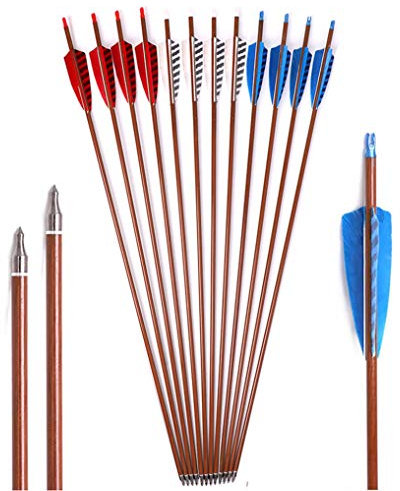 ACCMOS 12 Stück 30 Zoll Carbonpfeile ID 6,2 mm Spine 500 Holzfarben Echte Feder Jagdpfeil, für Langbogen Recurve Bogen Compoundbogen Bogensport (12pcs, Tricolor)