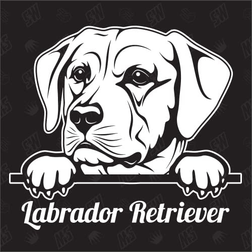 Labrador Retriever Version 3 - Sticker, Hundeaufkleber, Autoaufkleber, Hund, Labradane, Auto, Hunderassen, Aufkleber, Mischling, Mix, Tiere, Haustier (AUCH MIT Wunschname MÖGLICH)