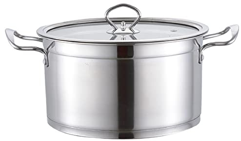 EdirFtra Edelstahl Induktion Topf mit Glasdeckel, Edelstahl Suppentopf, Induktion Kochtöpfe, Kochtopf mit Glasdeckel, geeignet für alle Kochfeldtypen,18cm