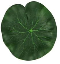 HKYBCF Nenúfar Artificial 2 uds Hojas de Loto flotantes Artificiales Planta de follaje Falso decoración de Piscina de Estanque de jardín (Color : 10cm)