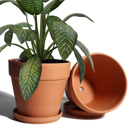 Vaso in terracotta per piante da 20 cm, con sottovaso, confezione da 2 grandi vasi in terracotta con foro di drenaggio, vaso in terracotta, per interni ed esterni