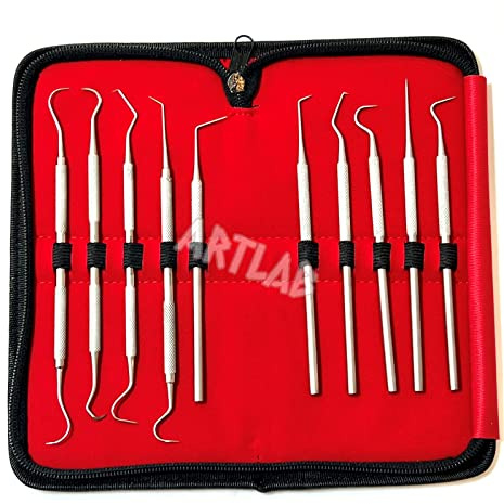 Premium Set of 12 Stainless Steel Precision Micro Probe Set Combo-Straight, Single, Short Double, Long Double, Triple and Hook Tips -Pick Tool Set 5.5(14CM) (Set of 10 Each)